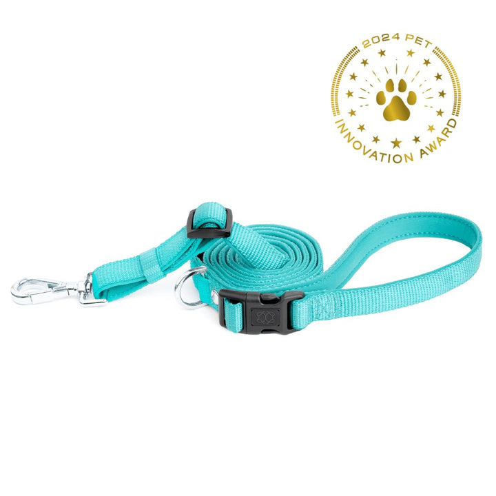 designer dog leashes and collars, designer dog collar and leash, pet accessories designer, fancy harness for dogs, luxury dog harness, fancy dog stuff, pet accessories designer, stylish dog leash