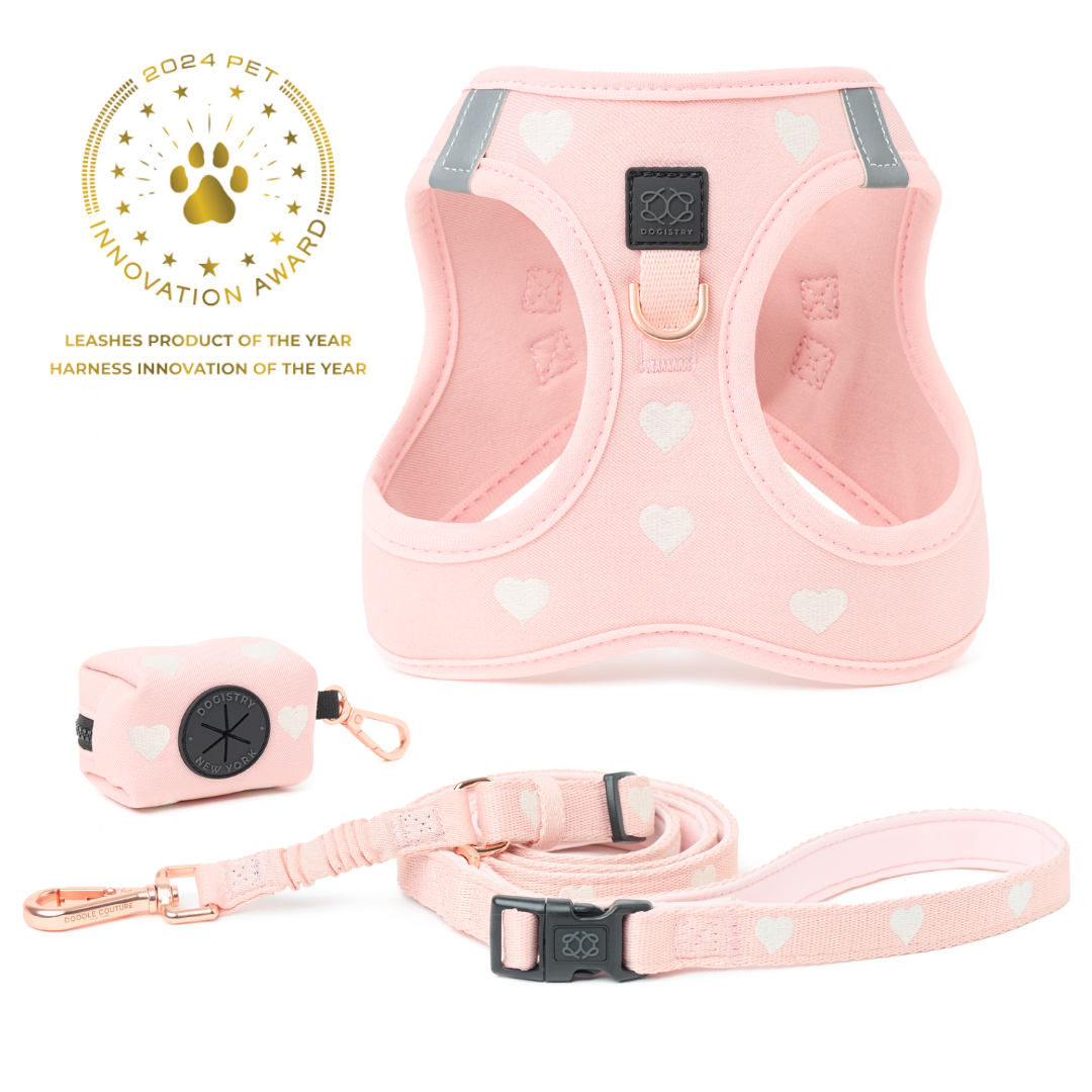 designer dog leashes and collars, designer dog collar and leash, pet accessories designer, fancy harness for dogs, luxury dog harness, fancy dog stuff, pet accessories designer, stylish dog leash