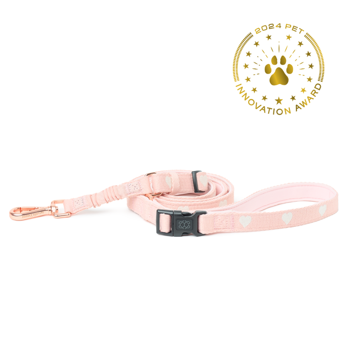 designer dog leashes and collars, designer dog collar and leash, pet accessories designer, fancy harness for dogs, luxury dog harness, fancy dog stuff, pet accessories designer, stylish dog leash