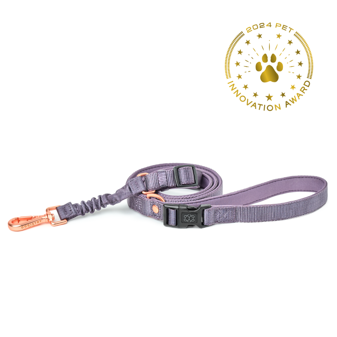 designer dog leashes and collars, designer dog collar and leash, pet accessories designer, fancy harness for dogs, luxury dog harness, fancy dog stuff, pet accessories designer, stylish dog leash