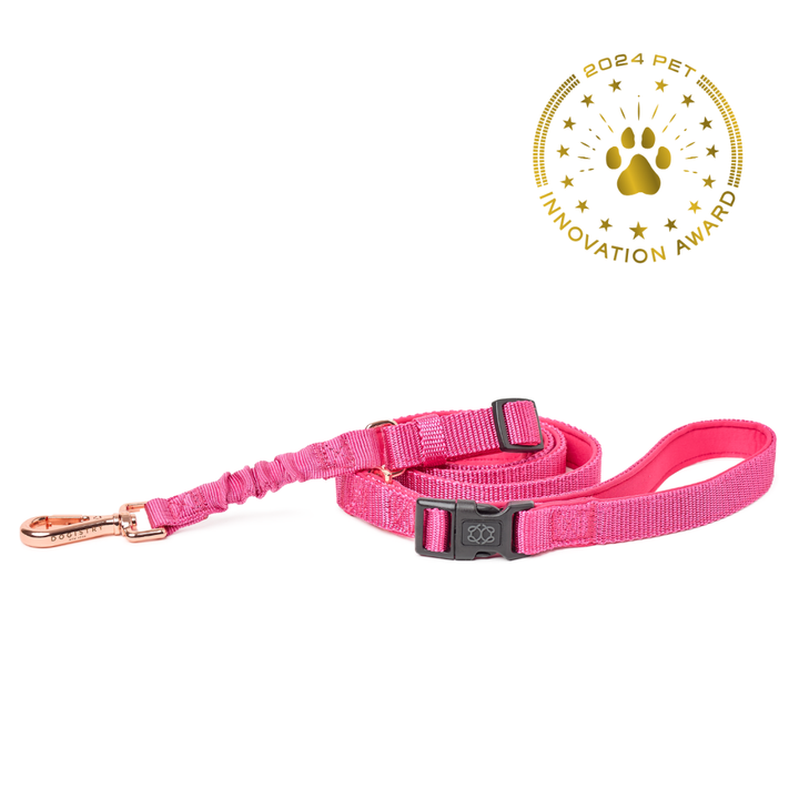 designer dog leashes and collars, designer dog collar and leash, pet accessories designer, fancy harness for dogs, luxury dog harness, fancy dog stuff, pet accessories designer, stylish dog leash