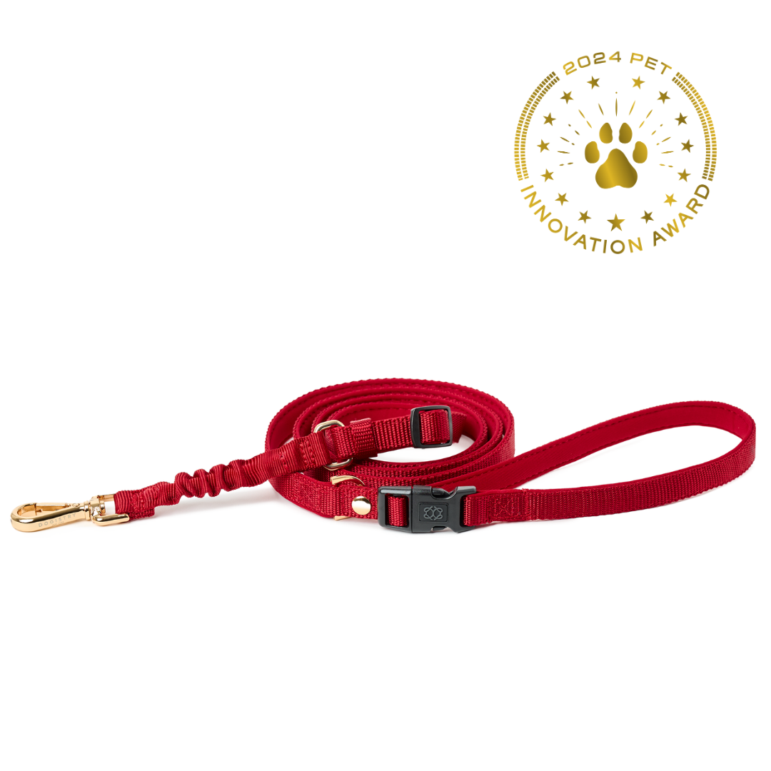 designer dog leashes and collars, designer dog collar and leash, pet accessories designer, fancy harness for dogs, luxury dog harness, fancy dog stuff, pet accessories designer, stylish dog leash