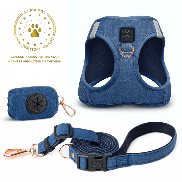 designer dog leashes and collars, designer dog collar and leash, pet accessories designer, fancy harness for dogs, luxury dog harness, fancy dog stuff, pet accessories designer, stylish dog leash