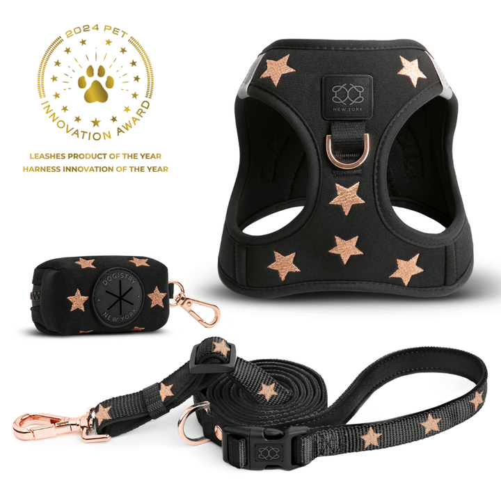 designer dog leashes and collars, designer dog collar and leash, pet accessories designer, fancy harness for dogs, luxury dog harness, fancy dog stuff, pet accessories designer, stylish dog leash