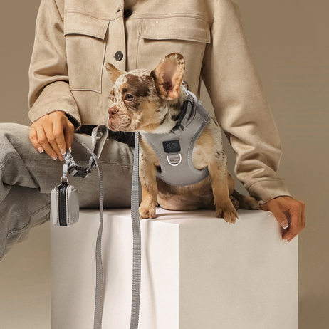 designer dog leashes and collars, designer dog collar and leash, pet accessories designer, fancy harness for dogs, luxury dog harness, fancy dog stuff, pet accessories designer, stylish dog leash