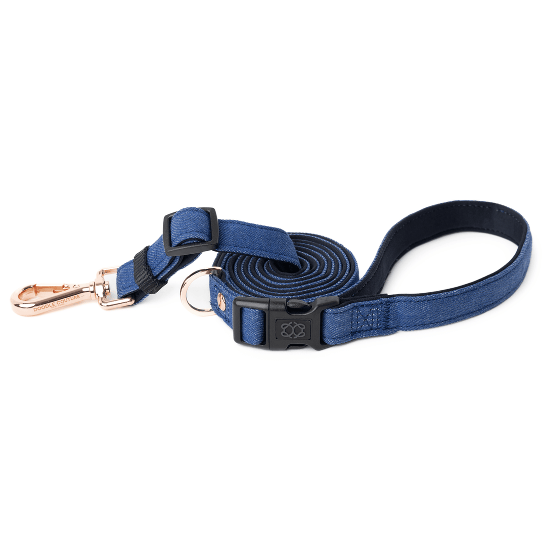 designer dog leashes and collars, designer dog collar and leash, pet accessories designer, fancy harness for dogs, luxury dog harness, fancy dog stuff, pet accessories designer, stylish dog leash