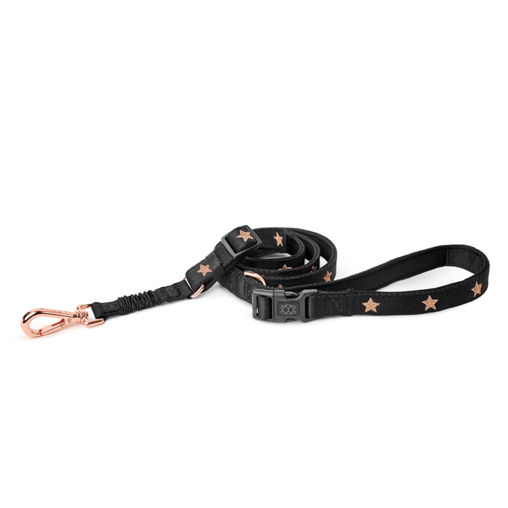 designer dog leashes and collars, designer dog collar and leash, pet accessories designer, fancy harness for dogs, luxury dog harness, fancy dog stuff, pet accessories designer, stylish dog leash