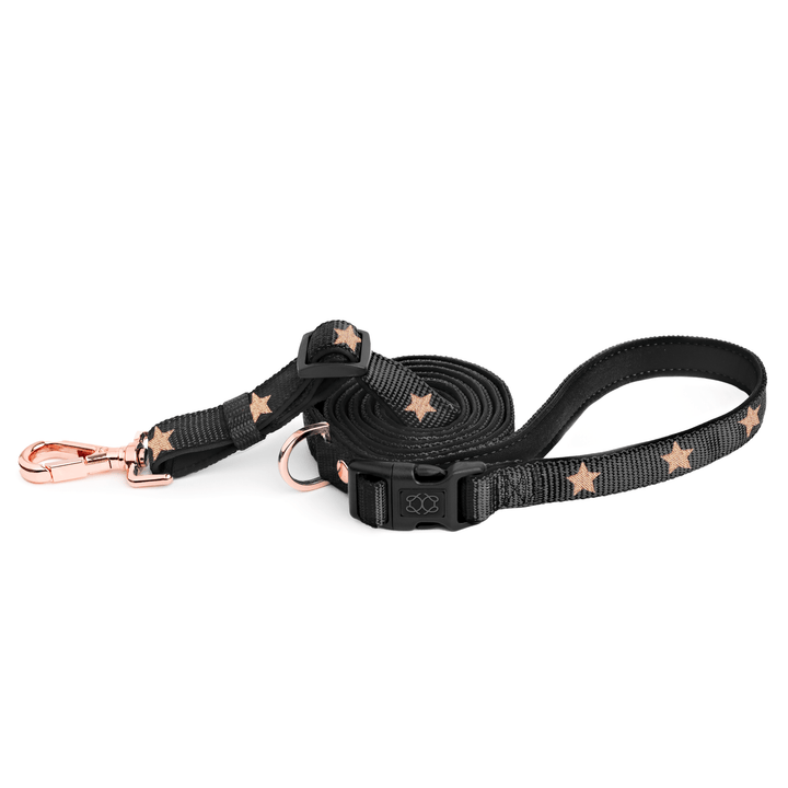 designer dog leashes and collars, designer dog collar and leash, pet accessories designer, fancy harness for dogs, luxury dog harness, fancy dog stuff, pet accessories designer, stylish dog leash